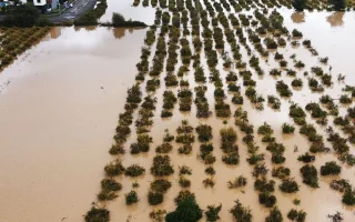 Peringatan Banjir dan Hujan Lebat di Yunani dan Turki