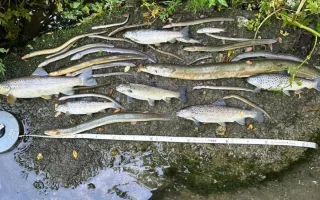 South West Water Raih Peringkat Lingkungan Terendah