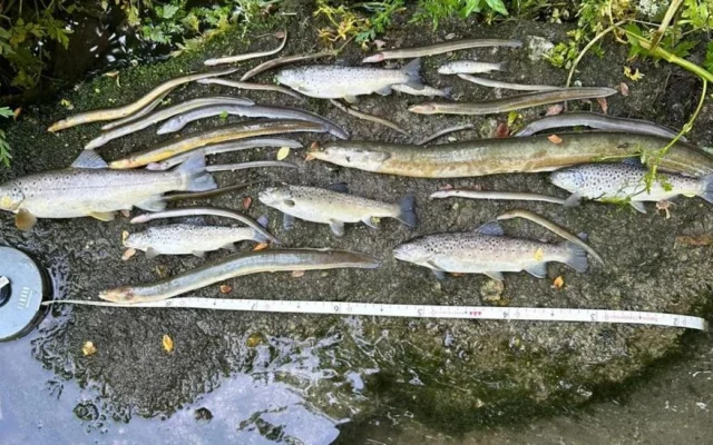 South West Water Raih Peringkat Lingkungan Terendah