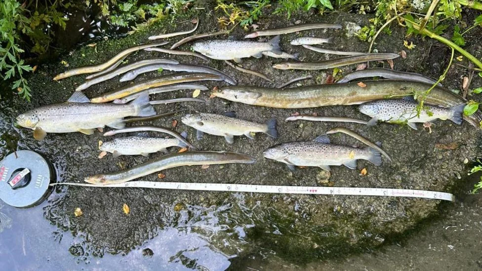 South West Water Raih Peringkat Lingkungan Terendah