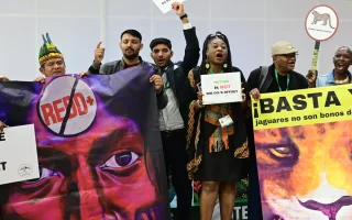 Pertemuan PBB Cop17 Mandek, Desakan Reformasi Lingkungan