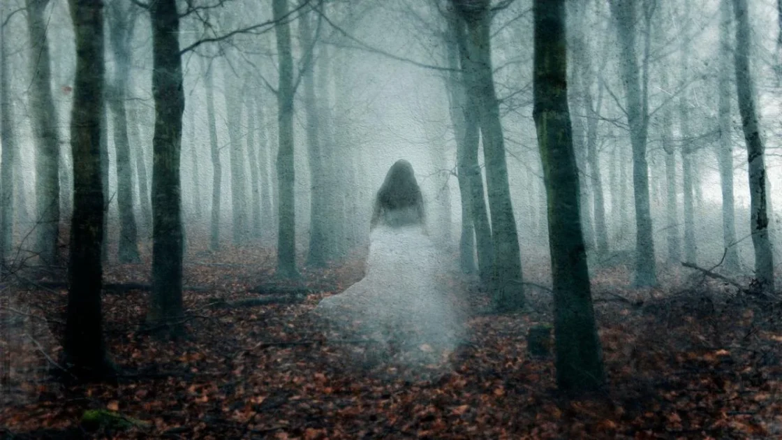 Mengapa Sebagian Orang Mengalami Kejadian Paranormal?