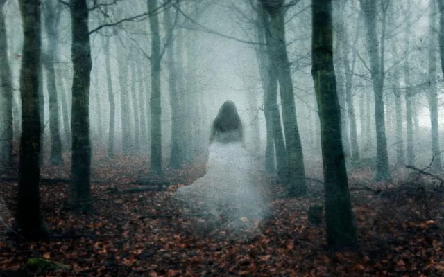 Mengapa Sebagian Orang Mengalami Kejadian Paranormal?