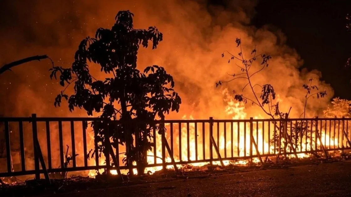Karhutla Landa Belasan Taman Nasional, Walhi Soroti Satgas