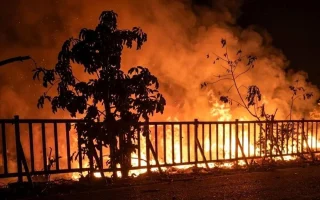 Karhutla Landa Belasan Taman Nasional, Walhi Soroti Satgas