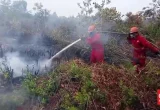 Puluhan Titik Api Masih Membara di Ogan Komering Ilir